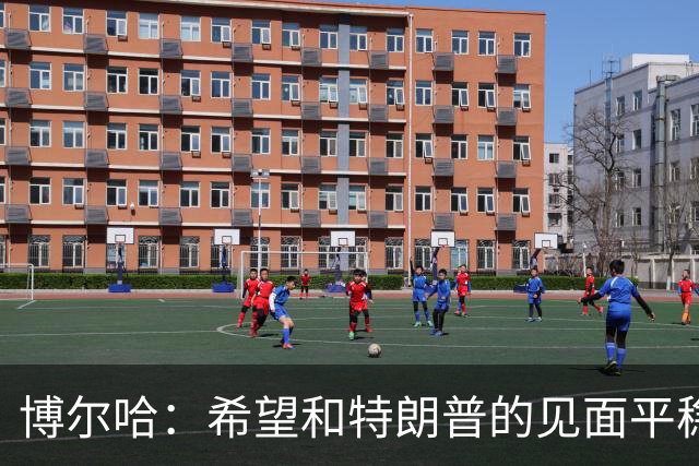 博尔哈：希望和特朗普的见面平稳渡过 我可不想他们把我扔进监狱