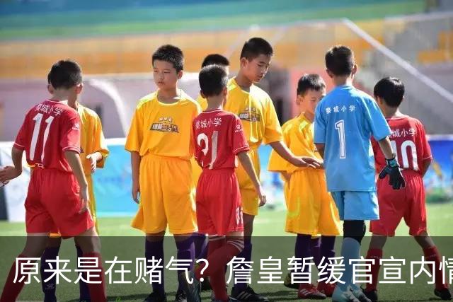 原来是在赌气？詹皇暂缓官宣内情曝光，萧华施压惹恼老詹团队